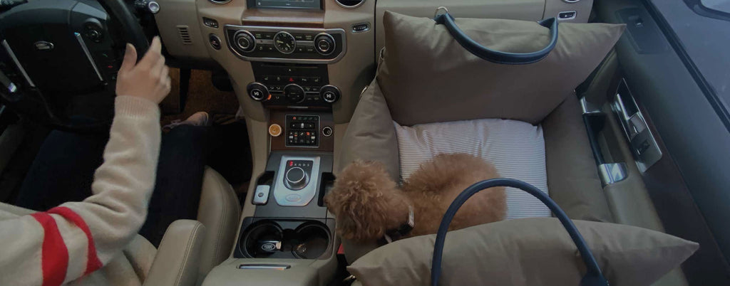 Dog Car Seat: The Best Luxury Dog Car Seats